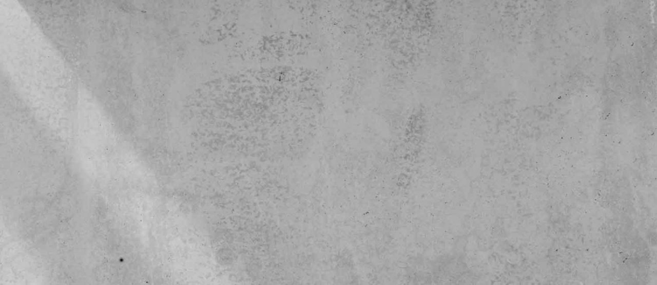 GreyConcrete