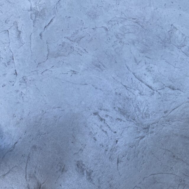 Stamped coloured concrete